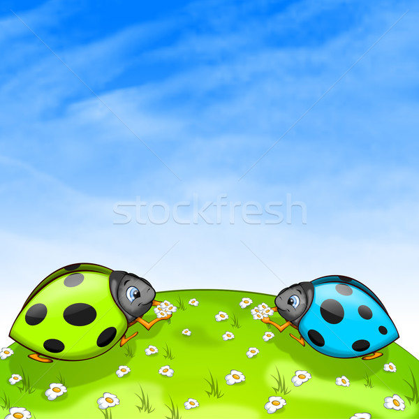 Ladybird Stock photo © RAStudio