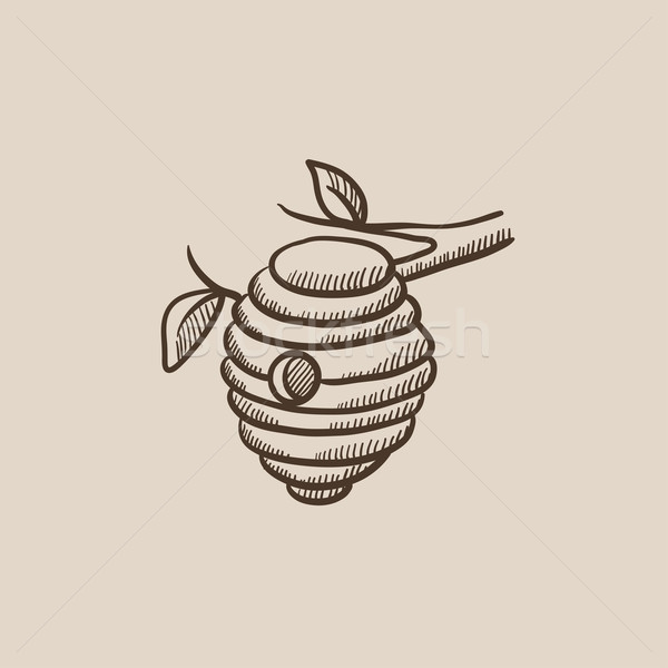 Biene Bienenstock Skizze Symbol Web mobile Stock foto © RAStudio