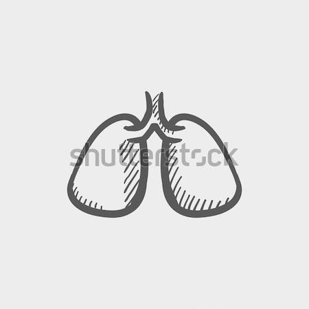 Lungs. Drawn in chalk icon. Stock photo © RAStudio