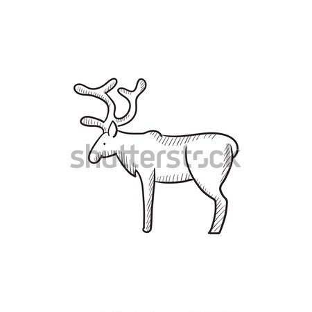 Deer sketch icon. Stock photo © RAStudio