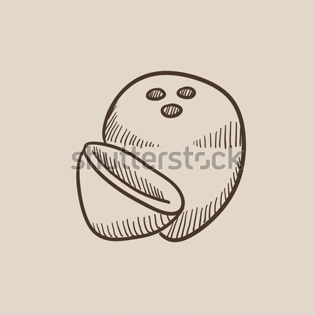 Coconut sketch icon. Stock photo © RAStudio