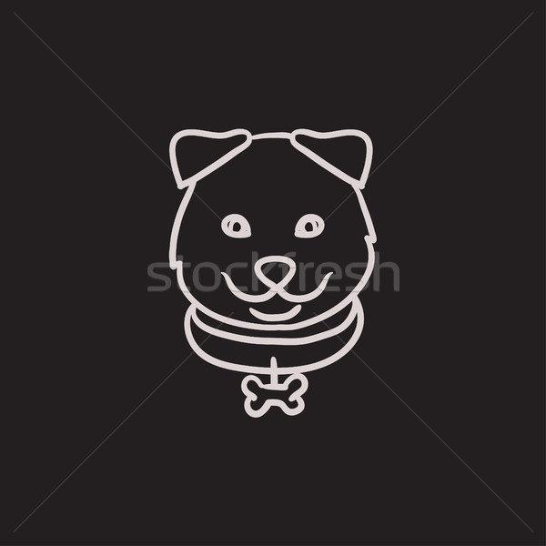 Dog head sketch icon. Stock photo © RAStudio