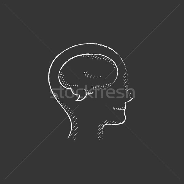 Human head with brain. Drawn in chalk icon. Stock photo © RAStudio