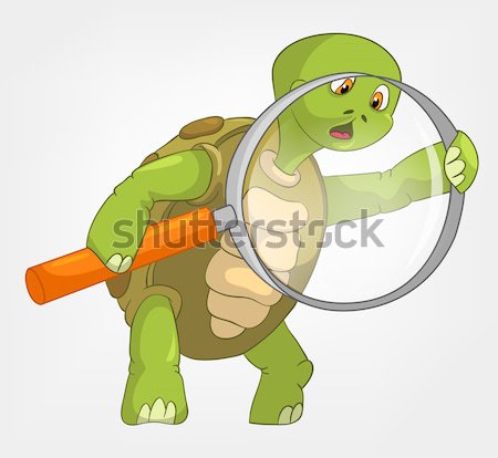 Funny Turtle. Baby First Step Stock photo © RAStudio