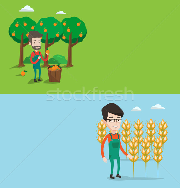 Stock photo: Two agricultural banners with space for text.