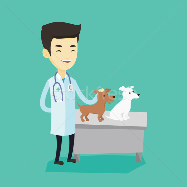 Veterinarian examining dogs vector illustration. Stock photo © RAStudio
