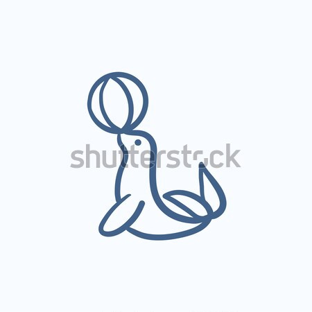 Stock photo: Trained fur seal playing with ball sketch icon.