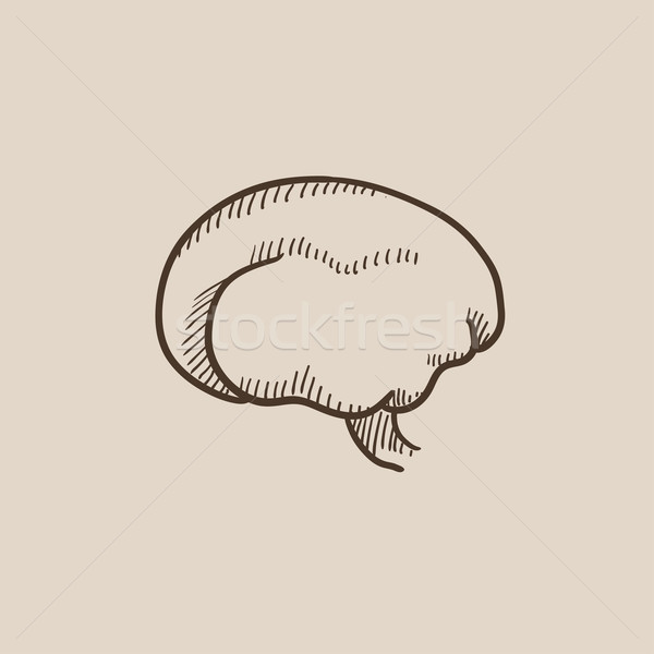 Mózgu szkic ikona internetowych komórkowych infografiki Zdjęcia stock © RAStudio
