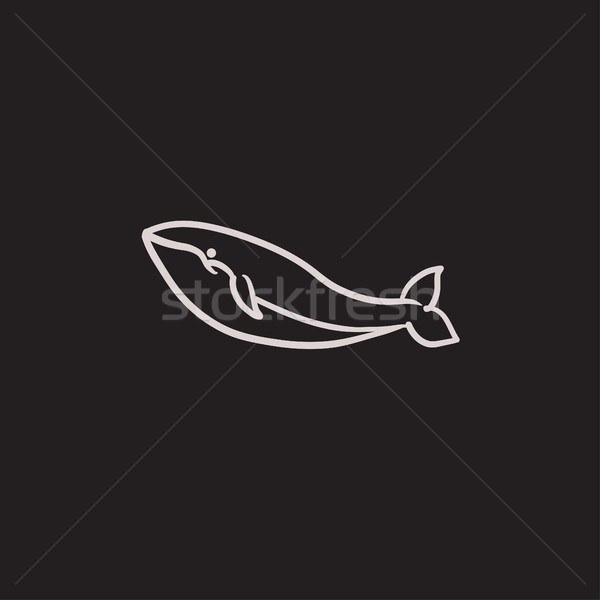 Wielorybów szkic ikona wektora odizolowany Zdjęcia stock © RAStudio