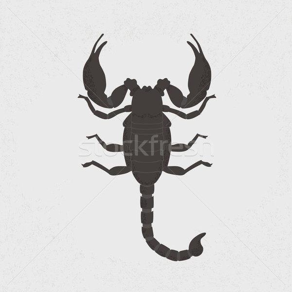 скорпион eps10 вектора формат черный более Сток-фото © ratch0013