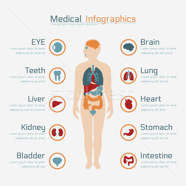 Medical infographic Stock photo © ratch0013