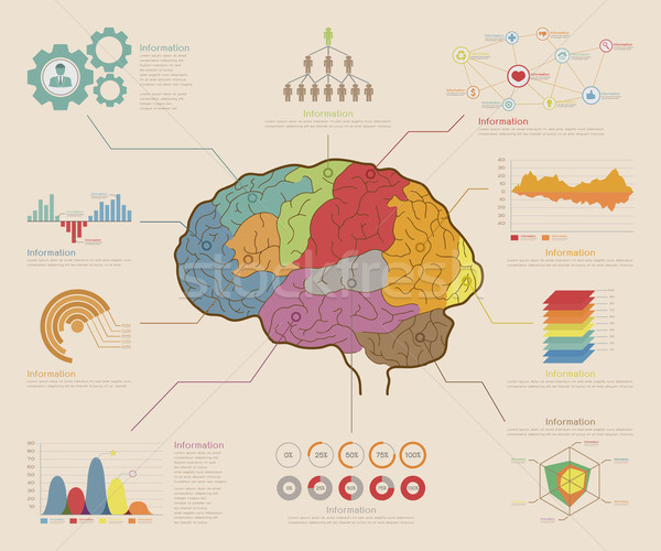 Infographic Elements , Brain concept Stock photo © ratch0013