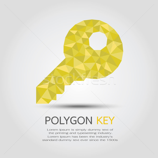 Poligon kulcs eps10 vektor formátum absztrakt Stock fotó © ratch0013
