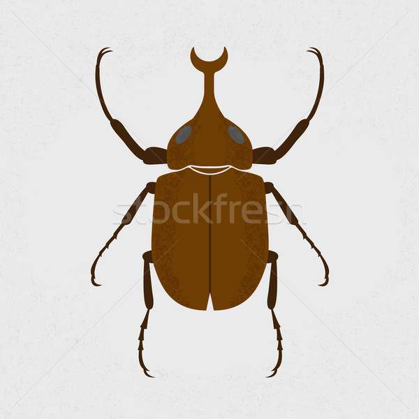 Böcek eps10 vektör format ahşap Stok fotoğraf © ratch0013