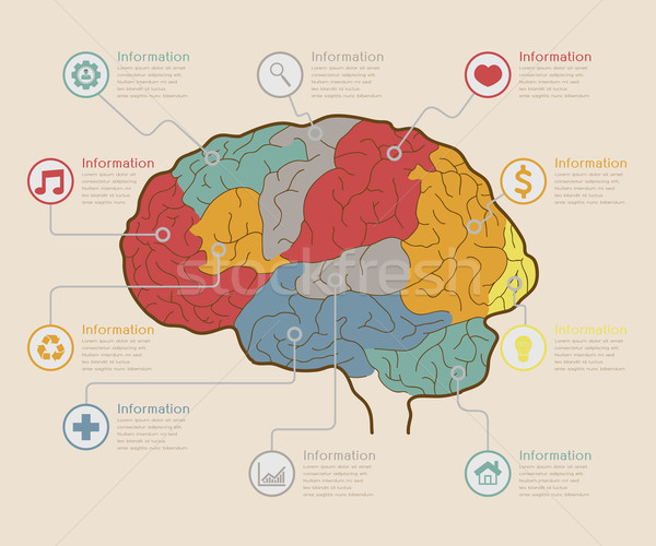 Infographic Elements , Brain concept Stock photo © ratch0013