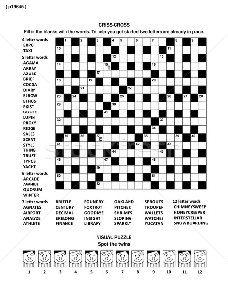 Puzzle page with word game and picture riddle Stock photo © ratselmeister