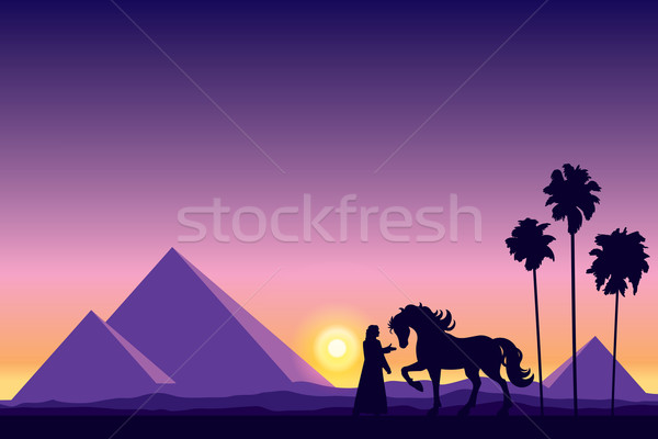 Zdjęcia stock: Egipt · piramidy · sylwetka · konia · słońce