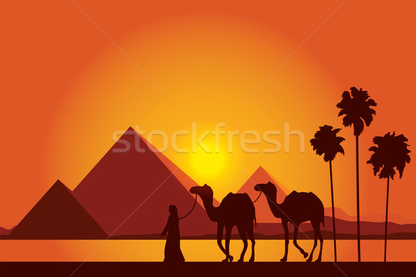 Egipt piramidy wielbłąda karawana wygaśnięcia Zdjęcia stock © Ray_of_Light