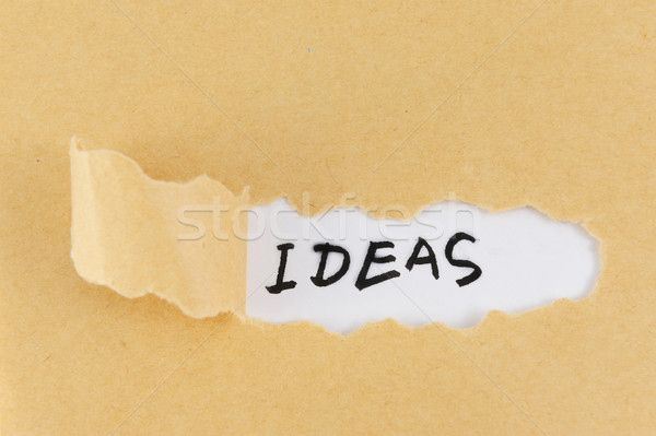 Ideas word Stock photo © raywoo