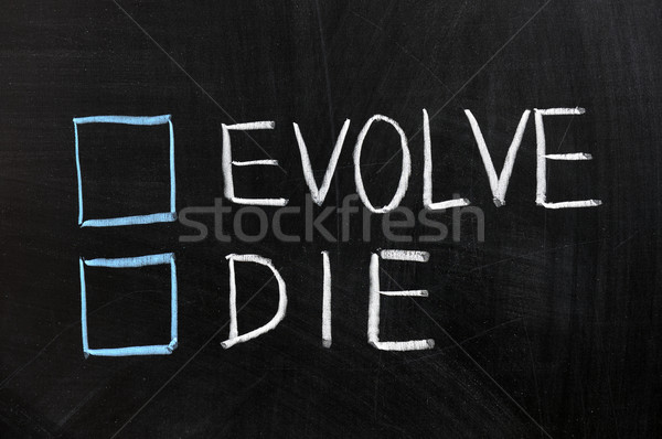 Evolve or die Stock photo © raywoo