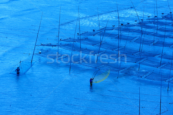 Fishermen working near the seaweed farm Stock photo © raywoo