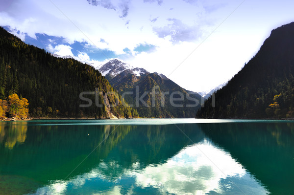 Landscape of forest and lake in China Jiuzhaigou Stock photo © raywoo