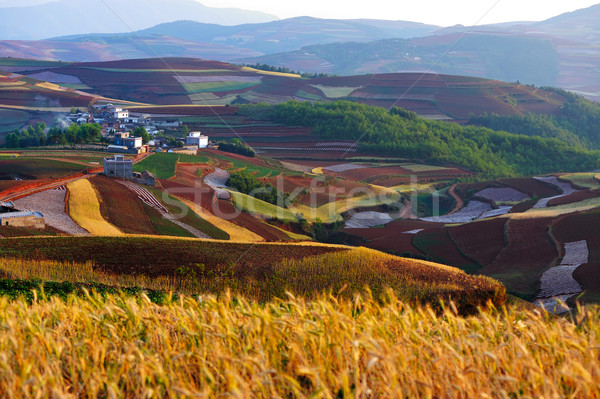 China rural landscape Stock photo © raywoo