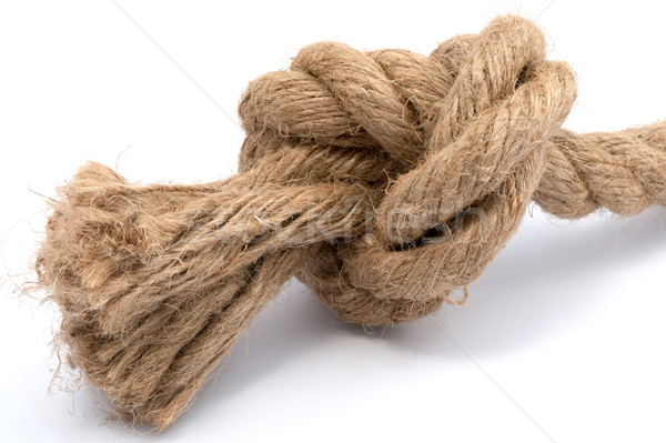 Rope Stock photo © raywoo