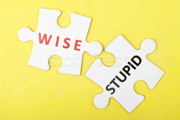 Wise versus stupid concept Stock photo © raywoo