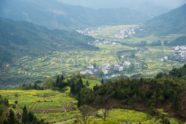 China rural field landscape Stock photo © raywoo