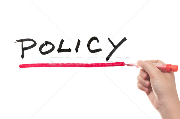 Policy word Stock photo © raywoo