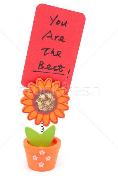 You are the best Stock photo © raywoo