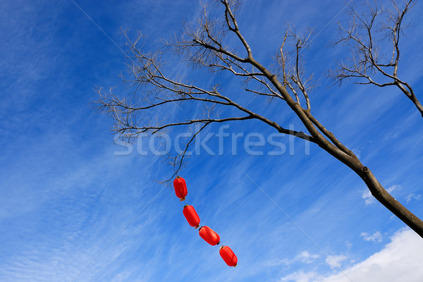Chinese red lanterns hanging on the tree for  celebrations Stock photo © raywoo