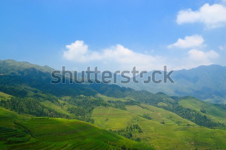 China rural landscape Stock photo © raywoo