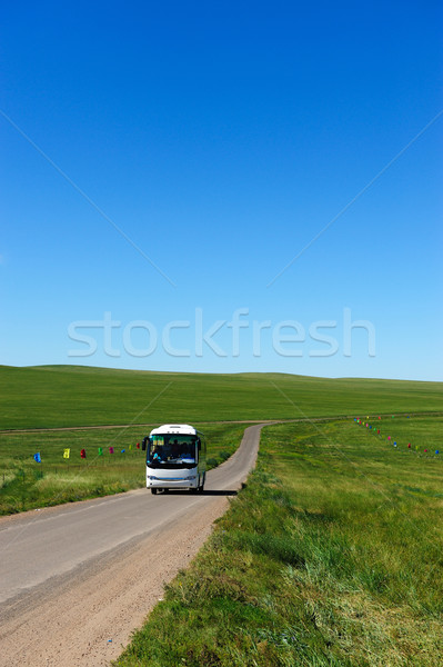 Bus hemel gras landschap Blauw verkeer Stockfoto © raywoo