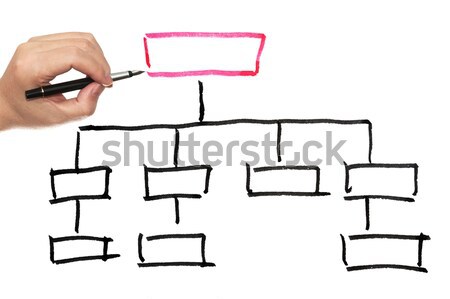 Workflow diagram hand tekening witte papier Stockfoto © raywoo