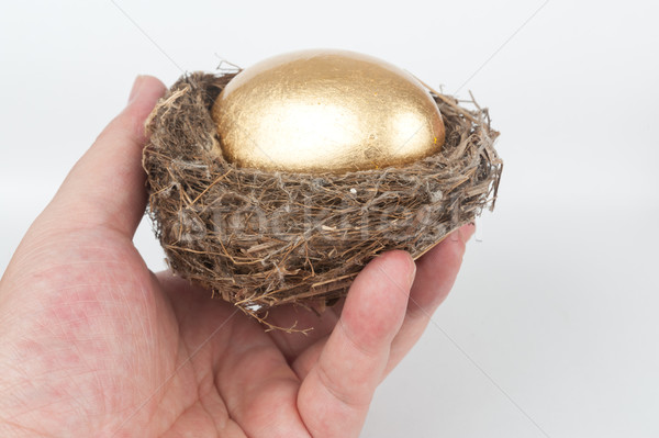 金の卵 鳥の巣 手 卵 金 将来 ストックフォト © raywoo