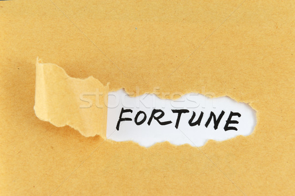 Fortune word Stock photo © raywoo