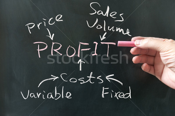 Business profit concept Stock photo © raywoo