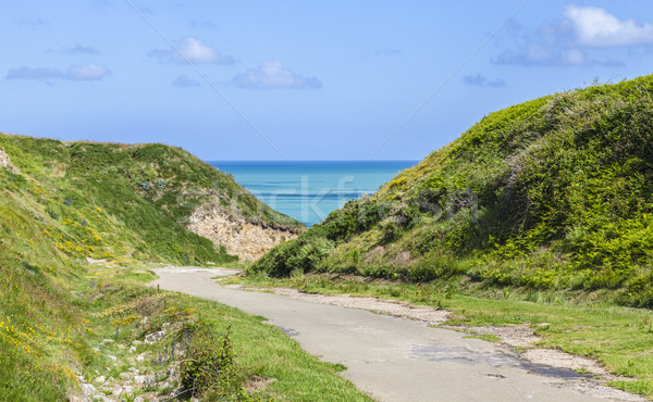 Path to the Beach Stock photo © RazvanPhotography