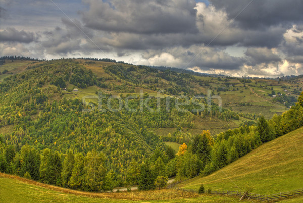 Autumn landscape Stock photo © RazvanPhotography