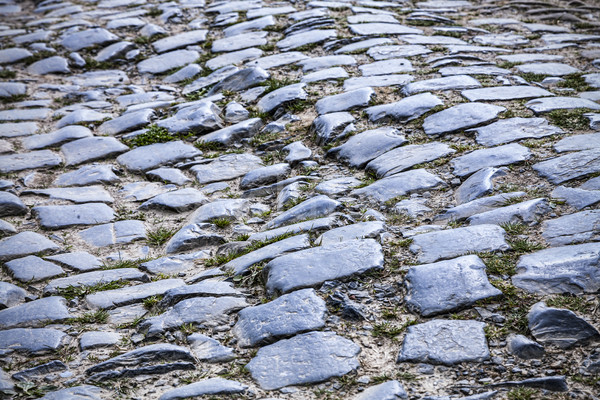 Cobblestone Road- Detail Stock photo © RazvanPhotography