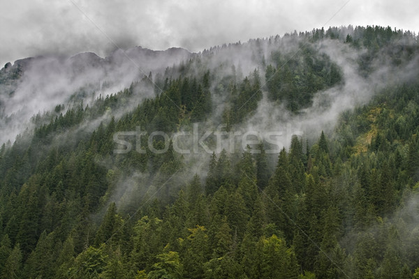 [[stock_photo]]: Météorologiques · impressionnant · été · nuages