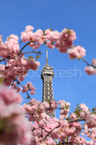 Stock fotó: Párizsi · részlet · felső · Eiffel · turné · ágak