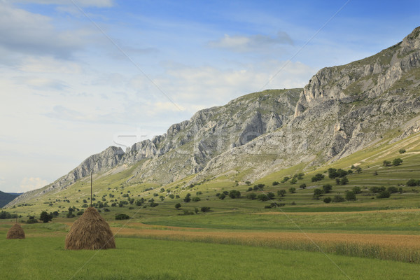 Rural mountaineous landscape Stock photo © RazvanPhotography