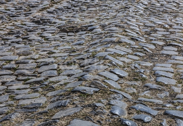 Cobbled Road - Detail Stock photo © RazvanPhotography