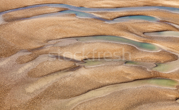Estuary Detail Stock photo © RazvanPhotography