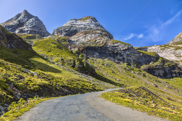 The Road to Circus of Troumouse - Pyrenees Mountains Stock photo © RazvanPhotography