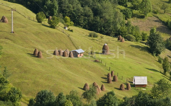 Rural landscape Stock photo © RazvanPhotography