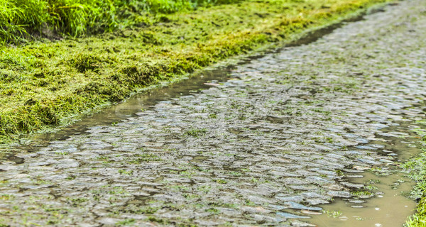 Stock photo: Cobbled Road in a Rainy Day